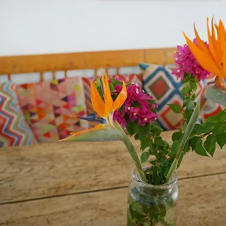 Appartamento Casa Emma *