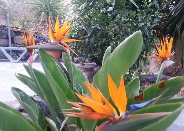 Casa Emma Appartement *